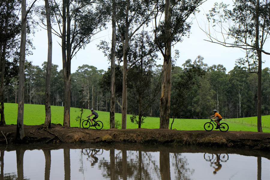 DSCF7630 africamps-oakhurst-wilderness-garden-route-south-africa-glamping-farm-mtb