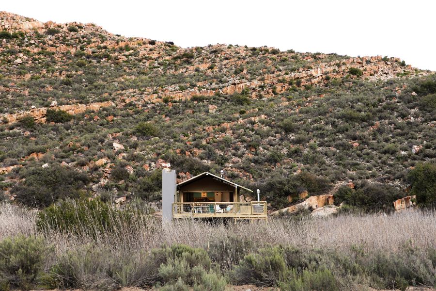 africamps at karoo 1 welcome (2) africamps at karoo 1 hex valley boutique glamping south africa