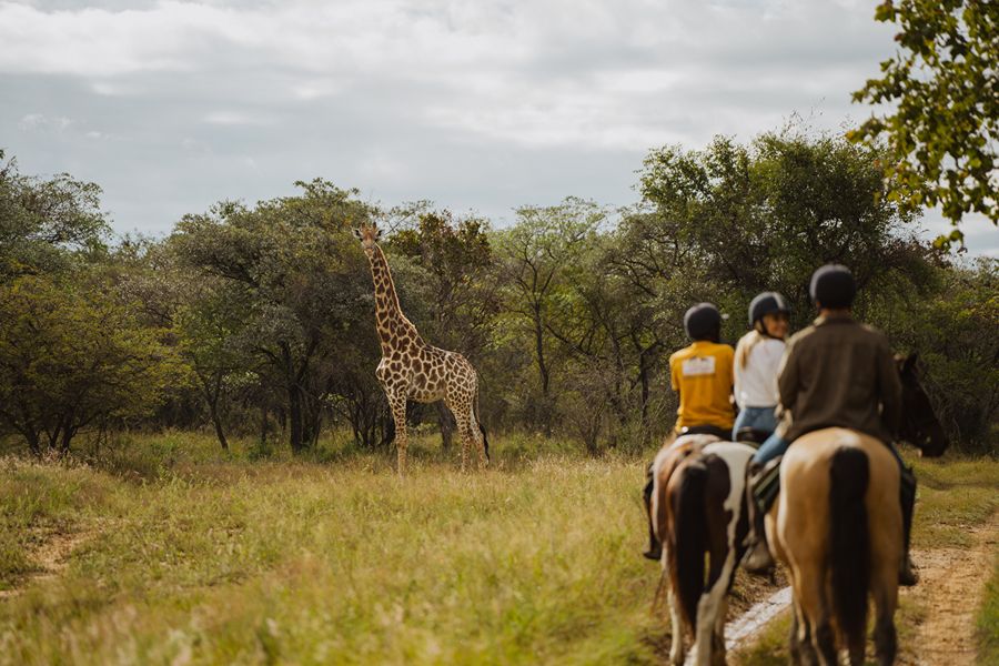 africamps waterberg limpopo_activities on the farm_02